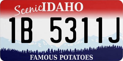 ID license plate 1B5311J
