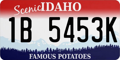 ID license plate 1B5453K