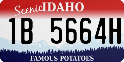 ID license plate 1B5664H