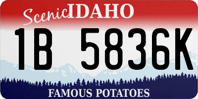 ID license plate 1B5836K
