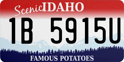 ID license plate 1B5915U
