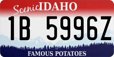 ID license plate 1B5996Z