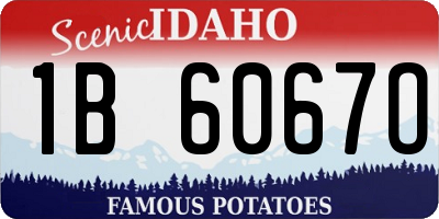 ID license plate 1B6067O