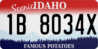 ID license plate 1B8034X