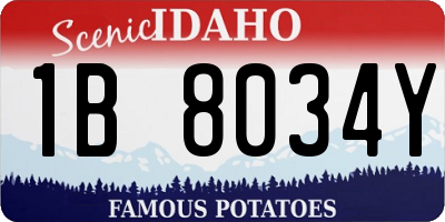 ID license plate 1B8034Y