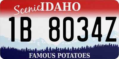 ID license plate 1B8034Z