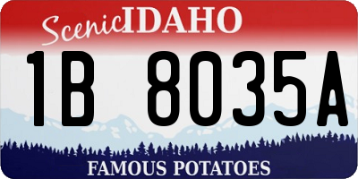 ID license plate 1B8035A
