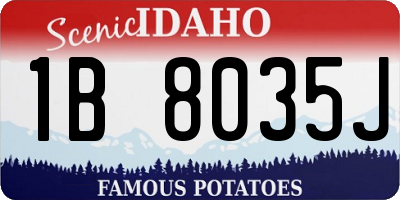 ID license plate 1B8035J