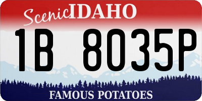 ID license plate 1B8035P