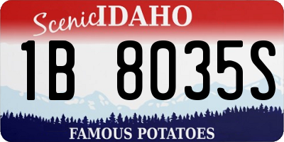 ID license plate 1B8035S