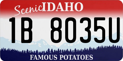 ID license plate 1B8035U