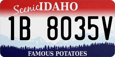ID license plate 1B8035V