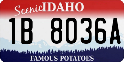 ID license plate 1B8036A