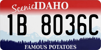 ID license plate 1B8036C