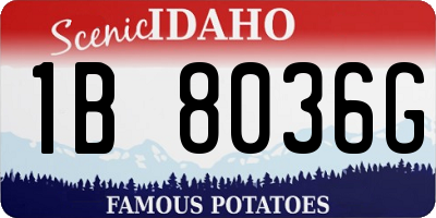 ID license plate 1B8036G