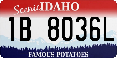 ID license plate 1B8036L