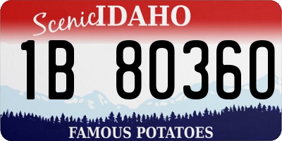 ID license plate 1B8036O