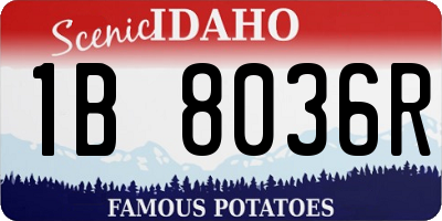 ID license plate 1B8036R