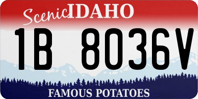 ID license plate 1B8036V
