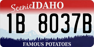 ID license plate 1B8037B