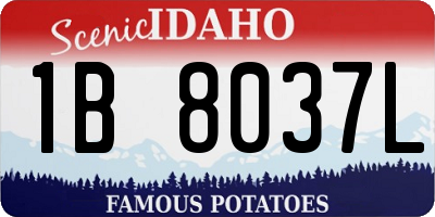 ID license plate 1B8037L