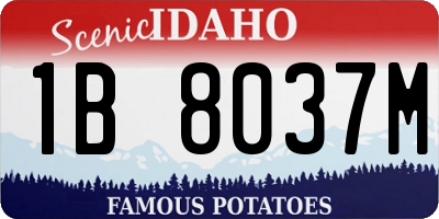 ID license plate 1B8037M