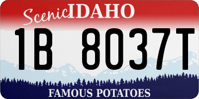 ID license plate 1B8037T