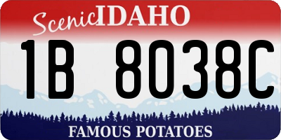 ID license plate 1B8038C