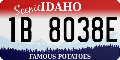ID license plate 1B8038E