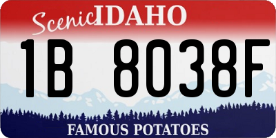 ID license plate 1B8038F