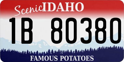 ID license plate 1B8038O