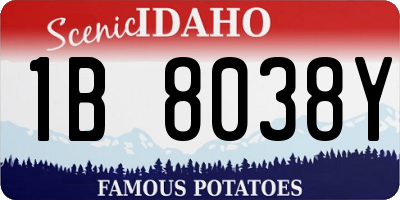ID license plate 1B8038Y