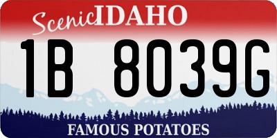 ID license plate 1B8039G