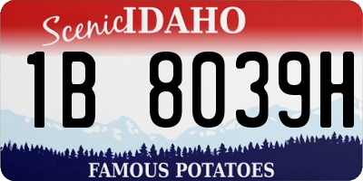 ID license plate 1B8039H