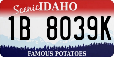 ID license plate 1B8039K
