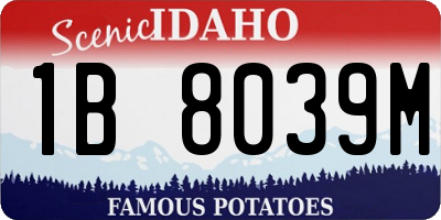 ID license plate 1B8039M