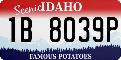 ID license plate 1B8039P