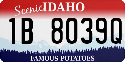 ID license plate 1B8039Q