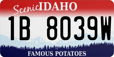 ID license plate 1B8039W