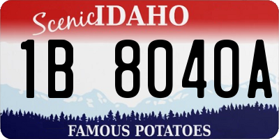 ID license plate 1B8040A