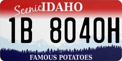 ID license plate 1B8040H