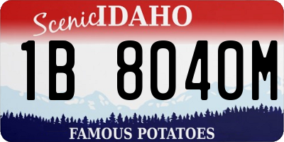 ID license plate 1B8040M
