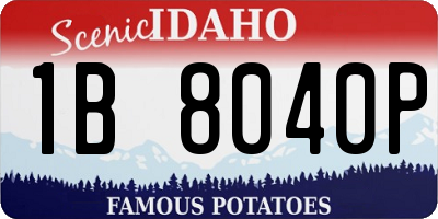 ID license plate 1B8040P