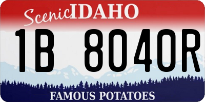 ID license plate 1B8040R