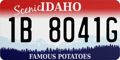 ID license plate 1B8041G