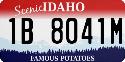 ID license plate 1B8041M
