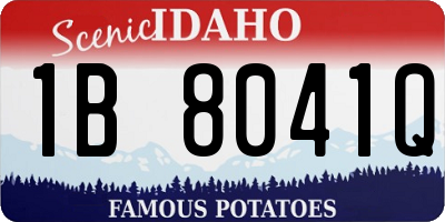 ID license plate 1B8041Q