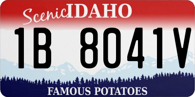 ID license plate 1B8041V