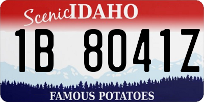 ID license plate 1B8041Z