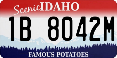 ID license plate 1B8042M